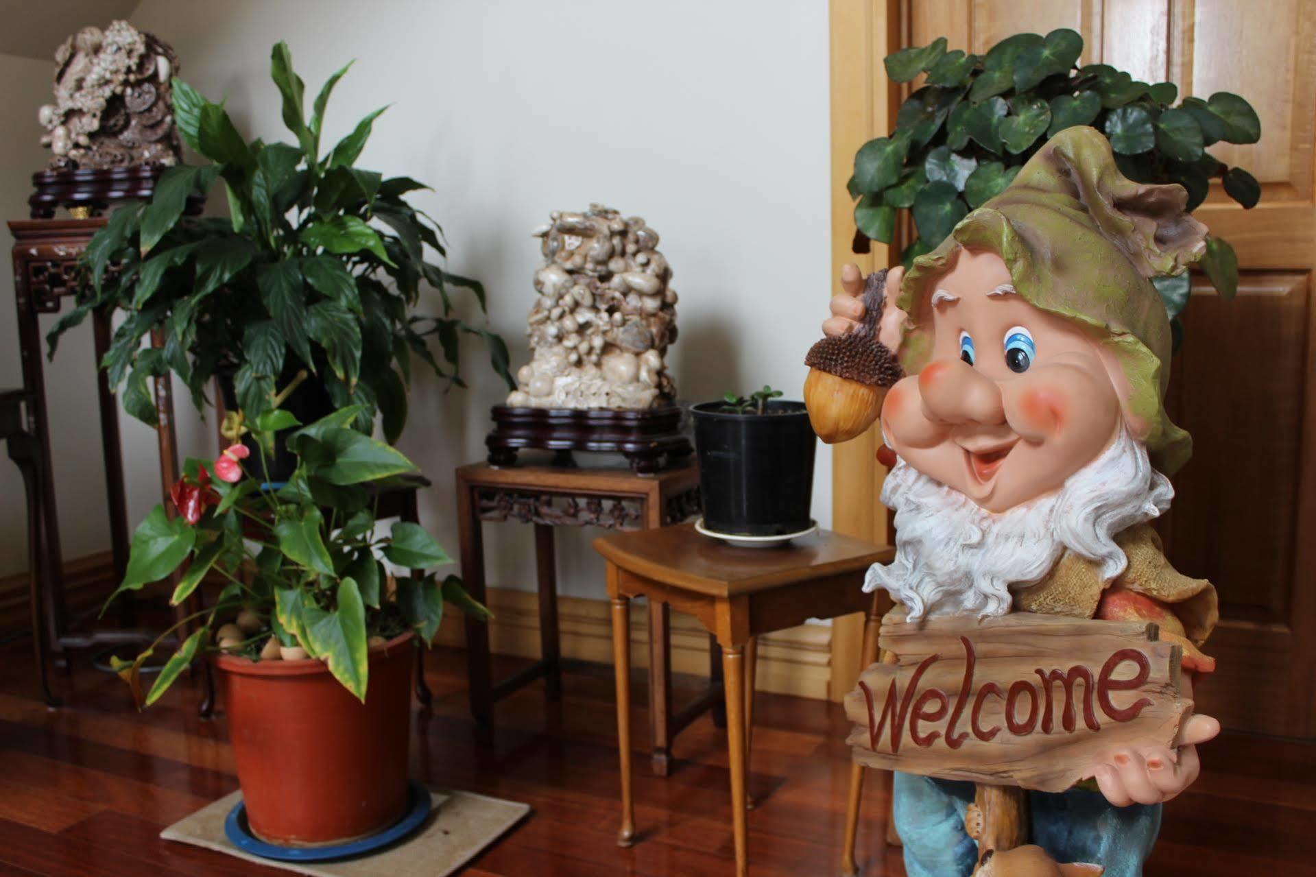 Shamrock Garden B&B Airportクライストチャーチ エクステリア 写真